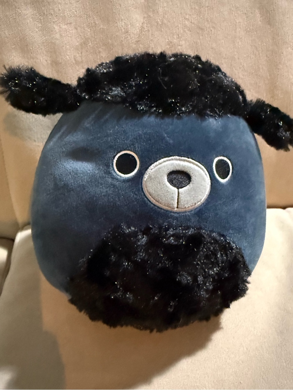 Squishmallows Jettward Black Poodle Fuzzy Plush Animal Squad